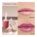 OEM Lipgloss  Moisturizer Lip Plumper Volume Long Lasting Sexy Big Lips Pump Transparent  Glitter Lipgloss